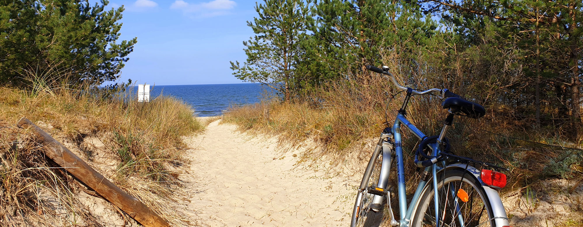 Usedom Strand Fahrradfahren